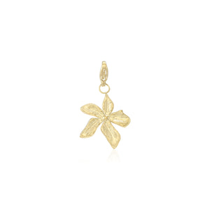 DYO Fancy Blume Gold