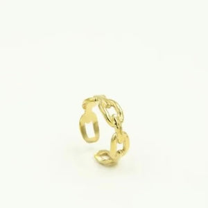 Ring mit Gliedern Gold